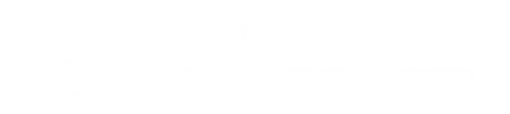 Vega Chiropractic