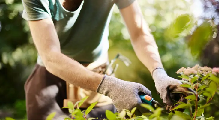 man-doing-yard-work